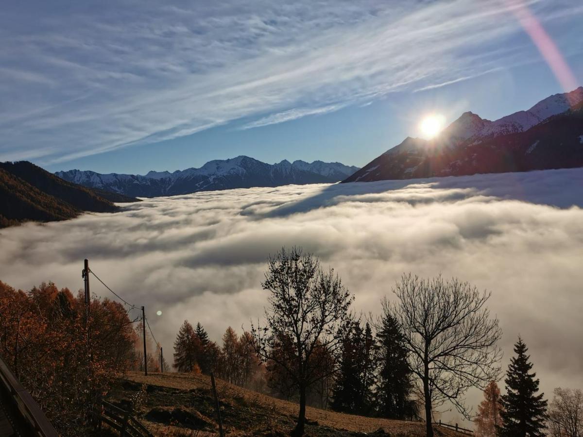 Appartamento Budamerhof